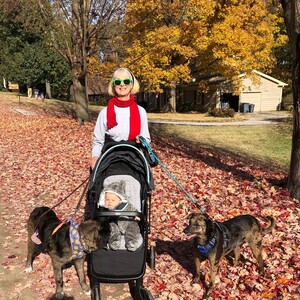 Fundraising Page: Debbie DONNELLY